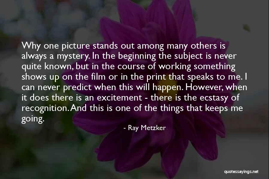 Will Never Quit Quotes By Ray Metzker