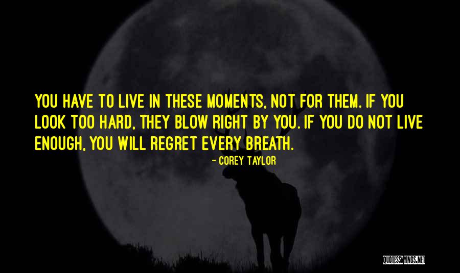 Will Not Regret Quotes By Corey Taylor