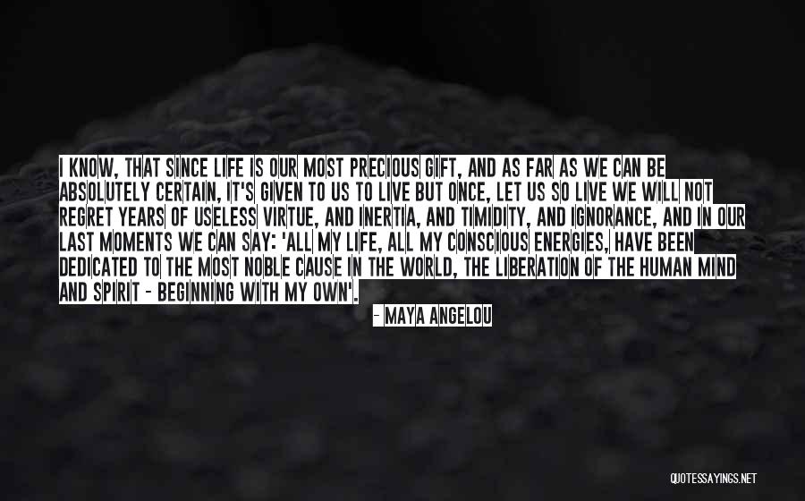 Will Not Regret Quotes By Maya Angelou