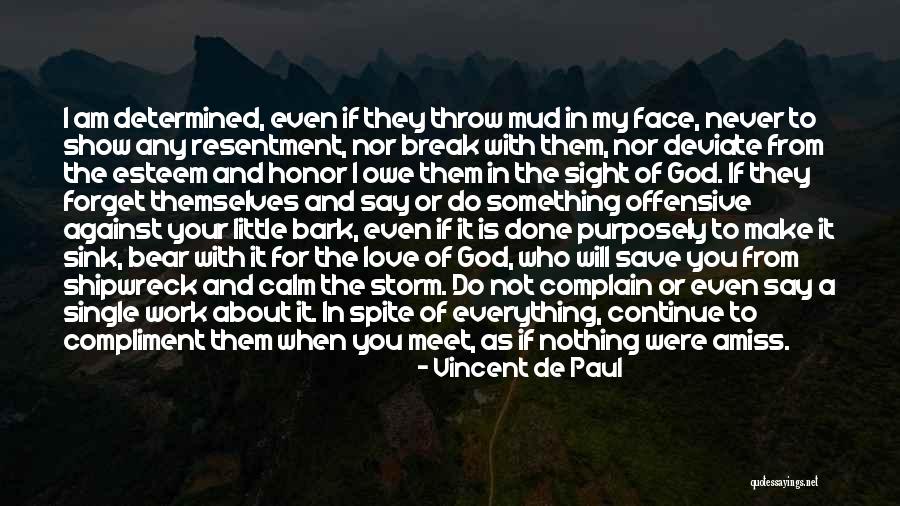 Will Not Sink Quotes By Vincent De Paul Will Not Sink Quotes By Vincent De Paul