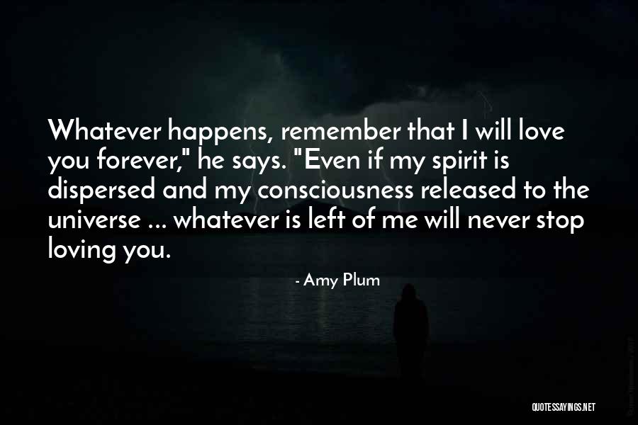 Will Stop Loving You Quotes By Amy Plum