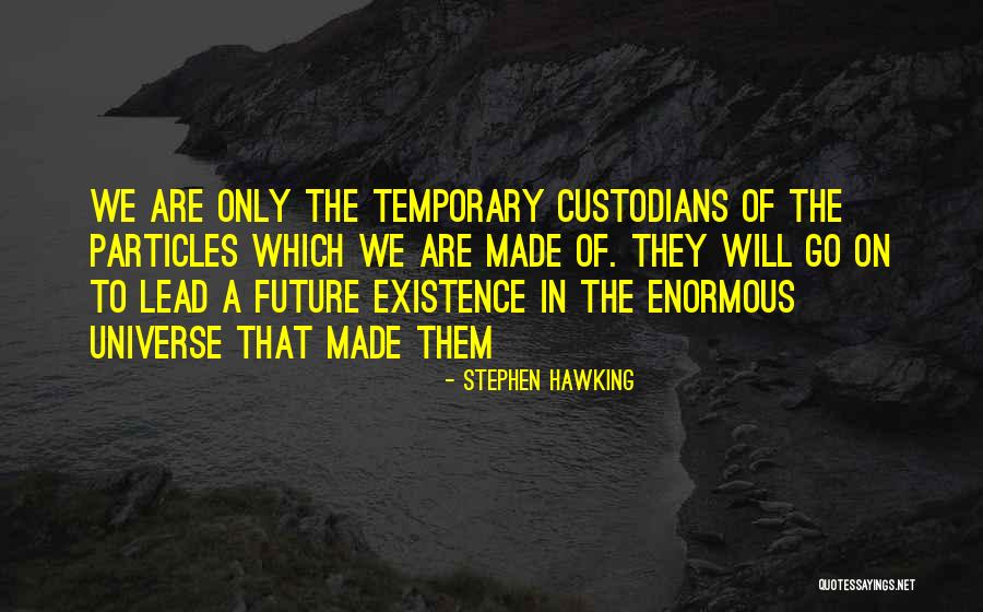 Will To Go On Quotes By Stephen Hawking