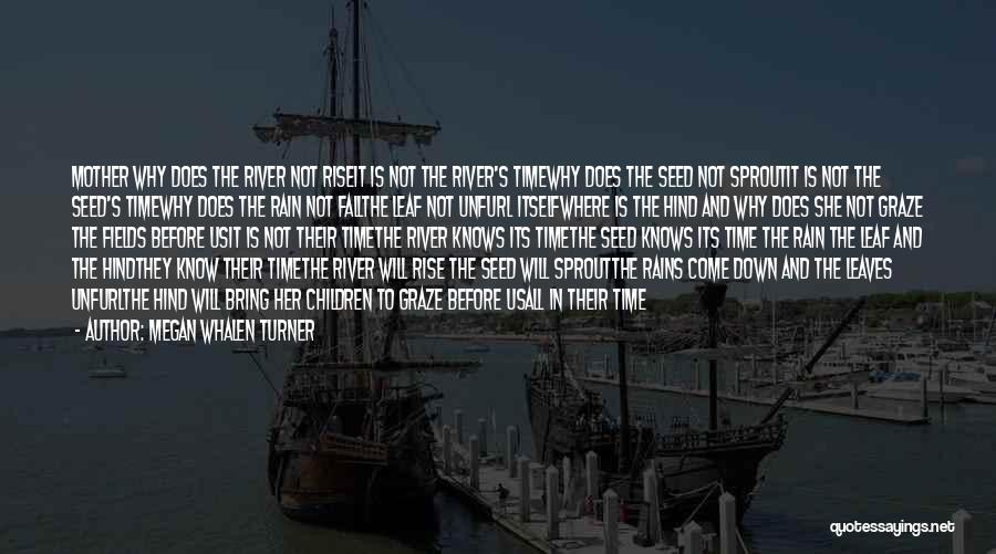 Will Turner Quotes By Megan Whalen Turner