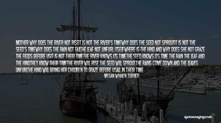 Will Turner Quotes By Megan Whalen Turner