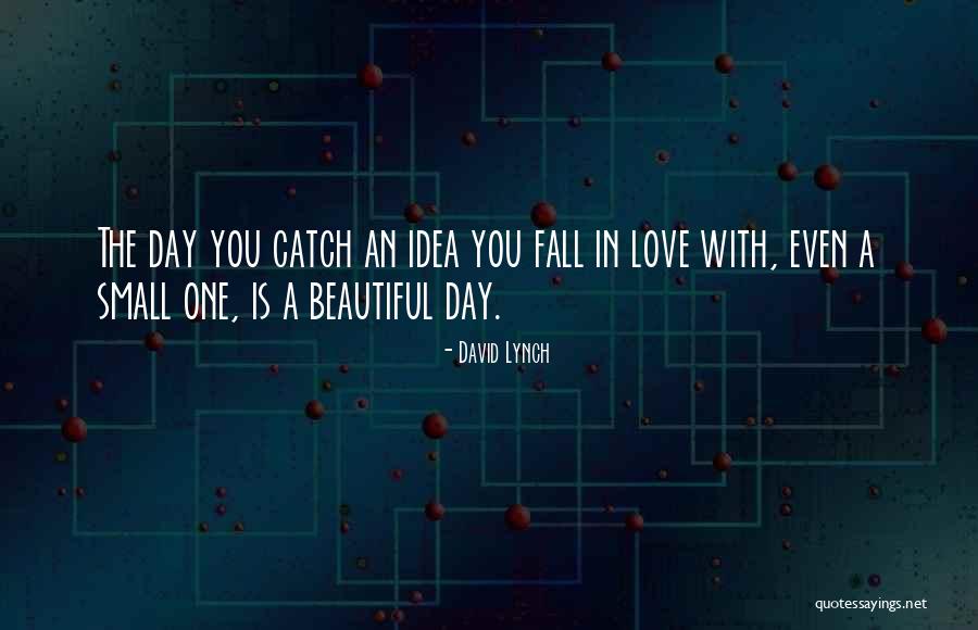 Will You Be There To Catch Me When I Fall Quotes By David Lynch