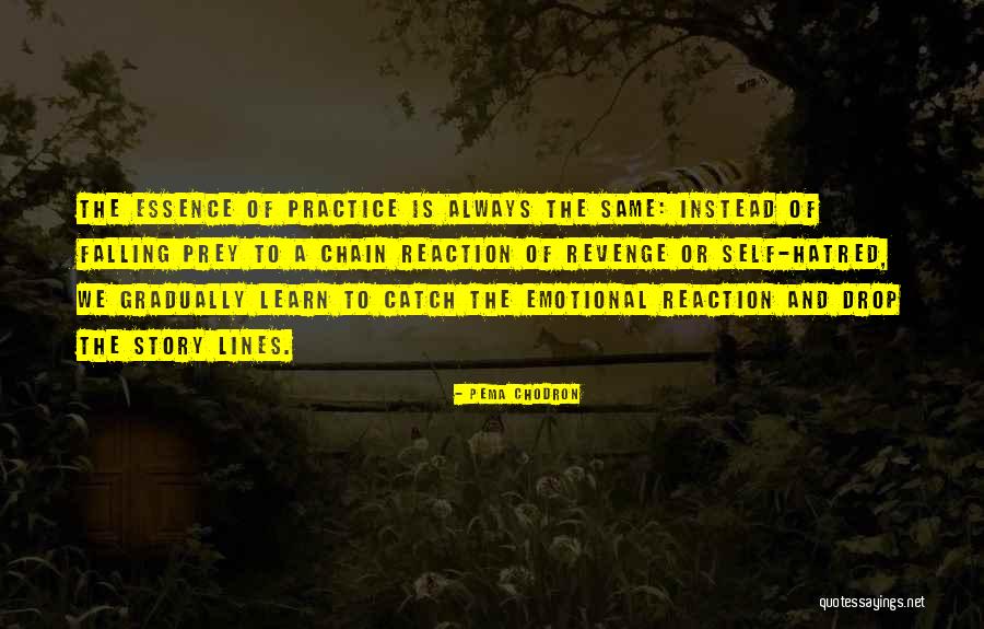 Will You Be There To Catch Me When I Fall Quotes By Pema Chodron