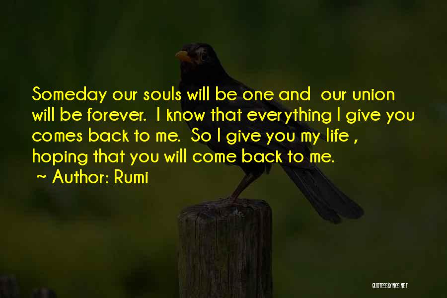 Will You Come Back To Me Quotes By Rumi