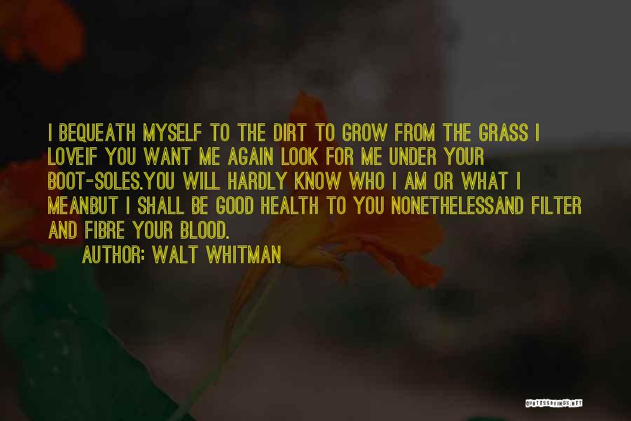 Will You Love Me Again Quotes By Walt Whitman