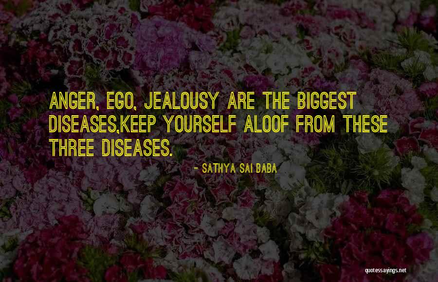 Will You Marry Me Memorable Quotes By Sathya Sai Baba Will You Marry Me Memorable Quotes By Sathya Sai Baba