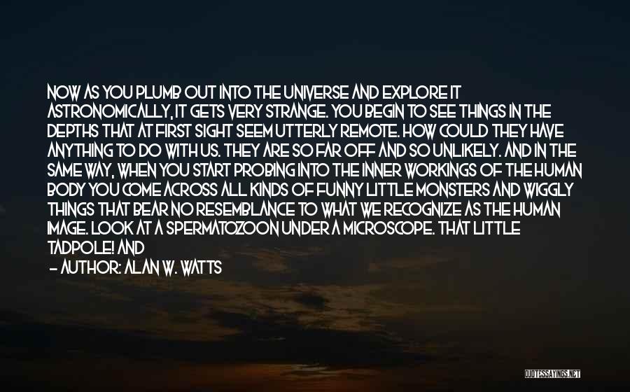 Will You Meet Me Quotes By Alan W. Watts