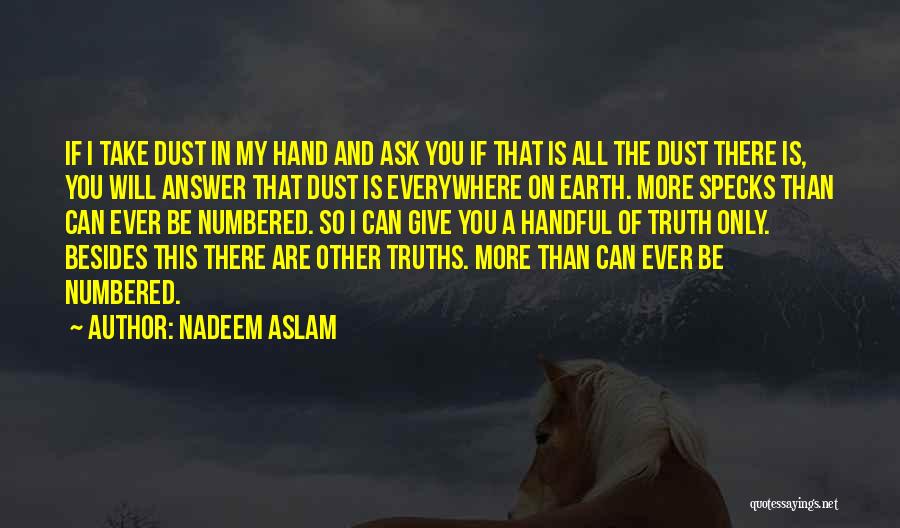 Will You Take My Hand Quotes By Nadeem Aslam