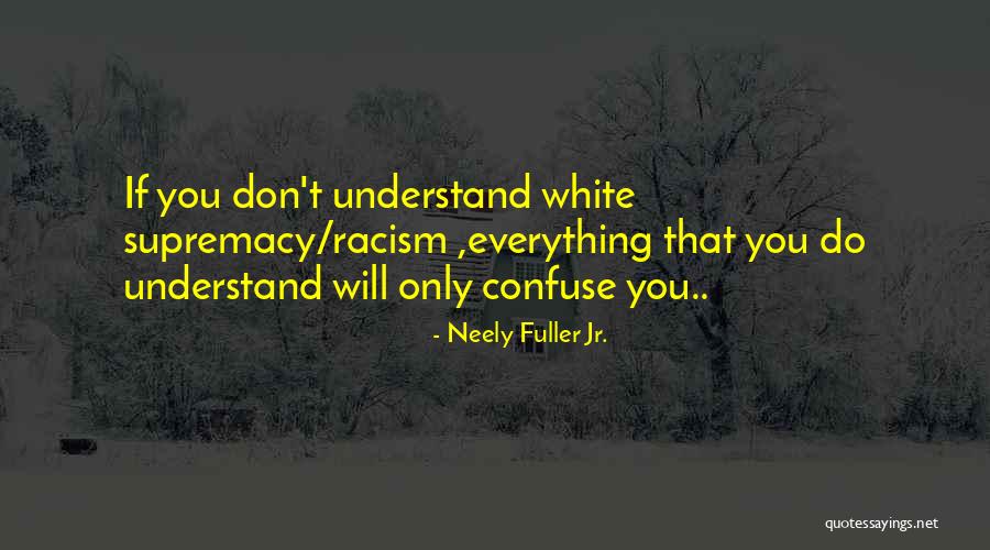 Will You Understand Quotes By Neely Fuller Jr.