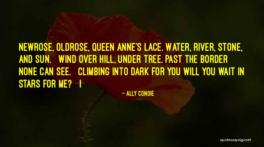 Will You Wait For Me Quotes By Ally Condie Will You Wait For Me Quotes By Ally Condie