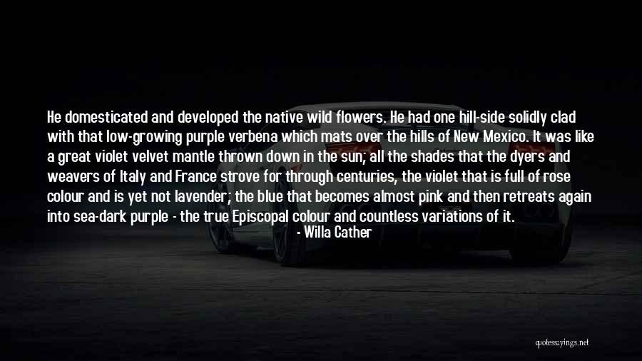 Willa Cather Quotes 301447 Willa Cather Quotes 301447