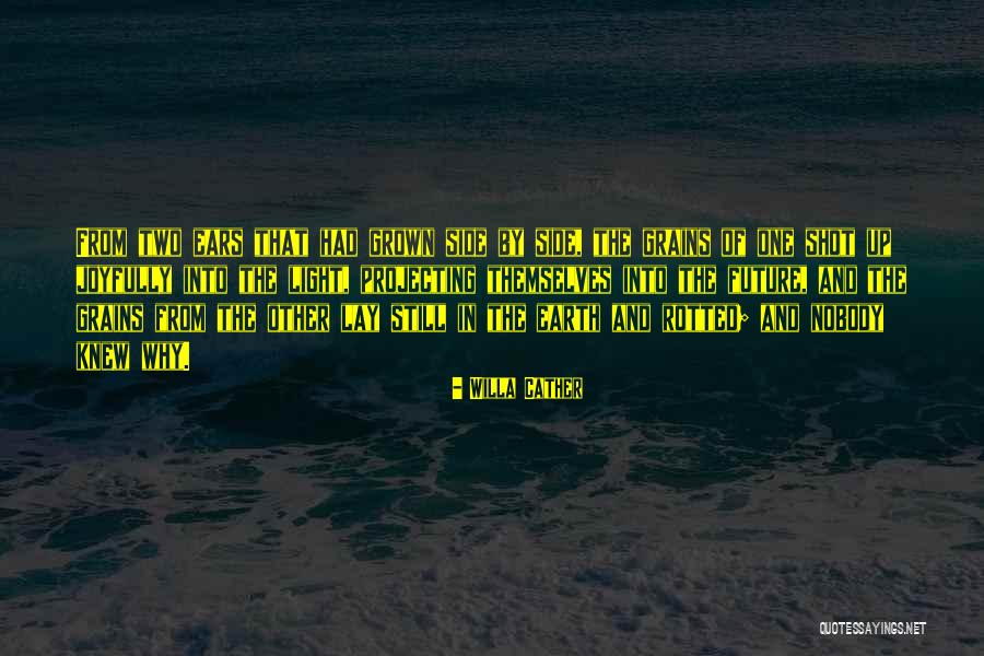 Willa Cather Quotes 586076 Willa Cather Quotes 586076