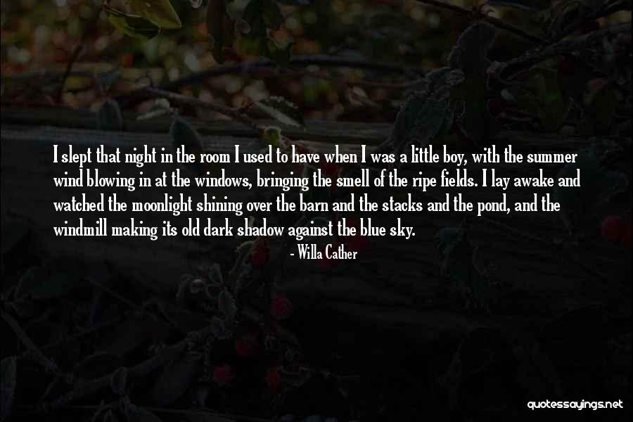 Willa Cather Quotes 707015