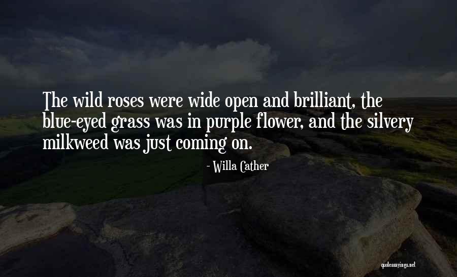 Willa Cather Quotes 707517