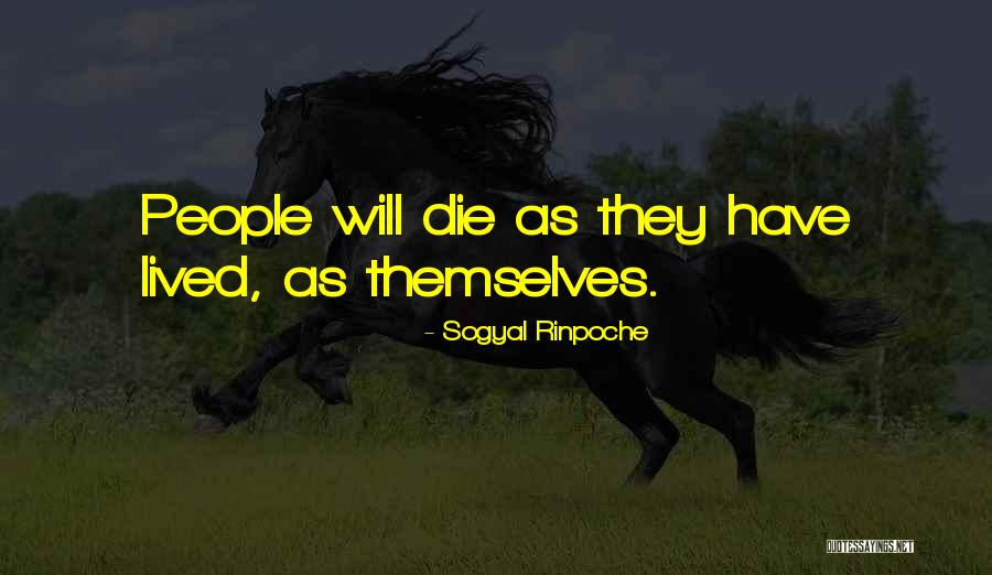 Willborn Fuel Quotes By Sogyal Rinpoche Willborn Fuel Quotes By Sogyal Rinpoche