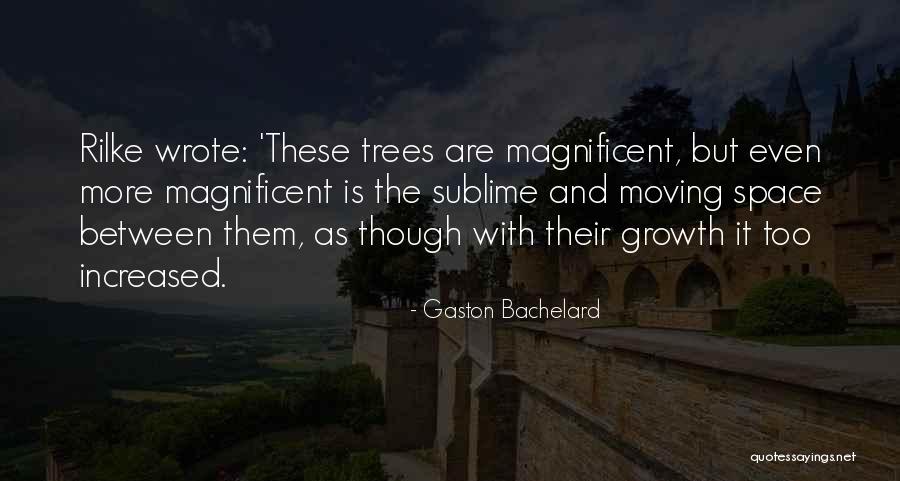 Willbrandt Cummitechnik Quotes By Gaston Bachelard Willbrandt Cummitechnik Quotes By Gaston Bachelard