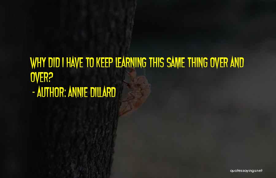 Willcarry Quotes By Annie Dillard