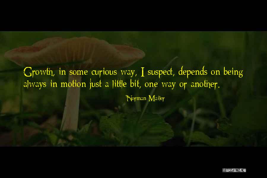 Willcoxon Interior Quotes By Norman Mailer Willcoxon Interior Quotes By Norman Mailer