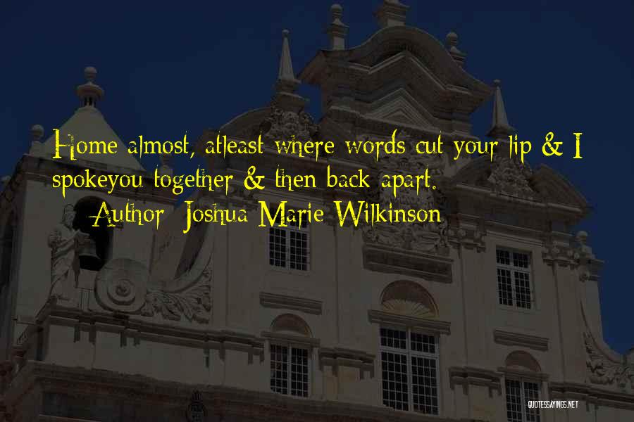 Willebrord Snellius Quotes By Joshua Marie Wilkinson