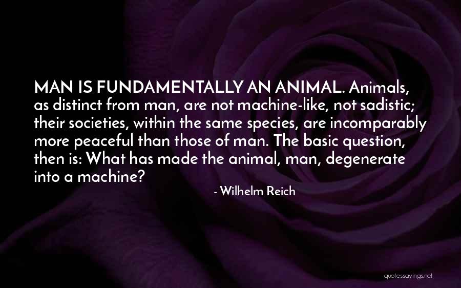 Willebrord Snellius Quotes By Wilhelm Reich