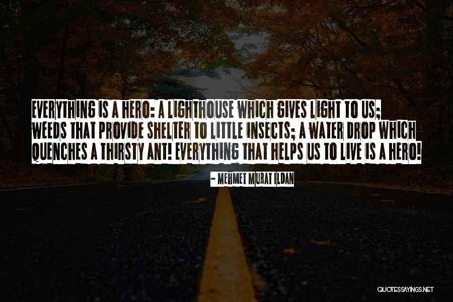 Willekes Quotes By Mehmet Murat Ildan Willekes Quotes By Mehmet Murat Ildan