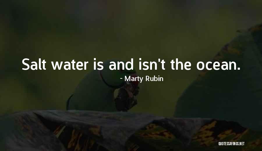 Willems Quotes By Marty Rubin Willems Quotes By Marty Rubin
