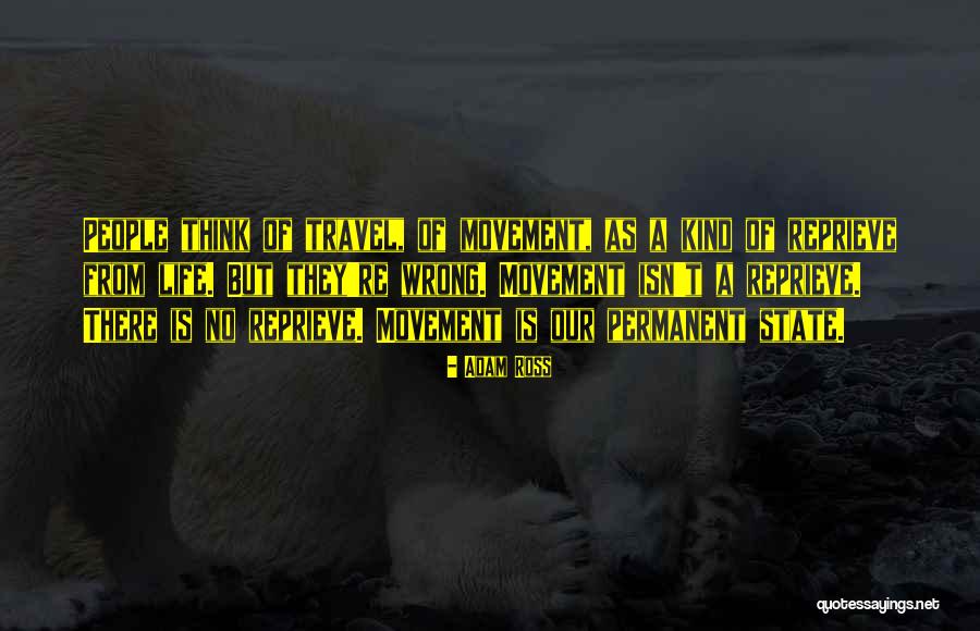 Willems Verandas Quotes By Adam Ross Willems Verandas Quotes By Adam Ross