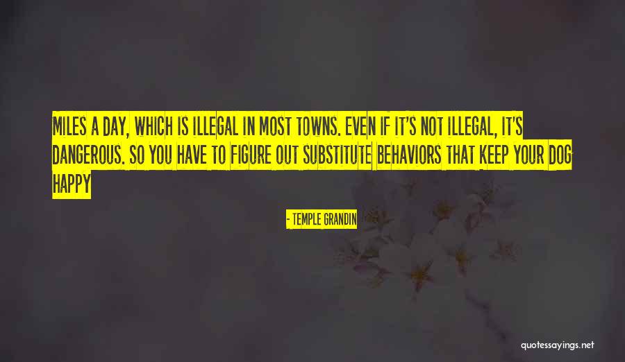 Willerton Willie Quotes By Temple Grandin Willerton Willie Quotes By Temple Grandin