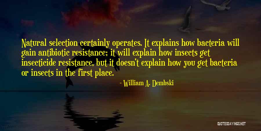 William A. Dembski Quotes 201478