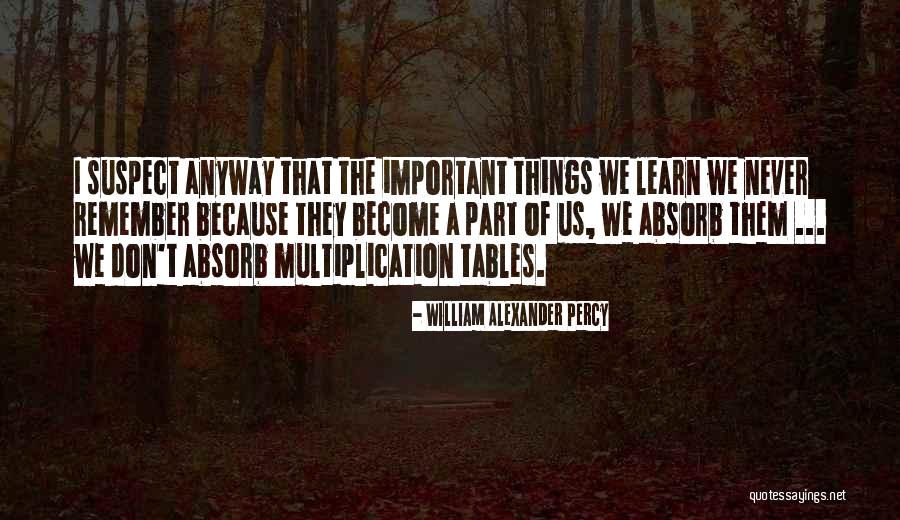 William Alexander Percy Quotes 2007414