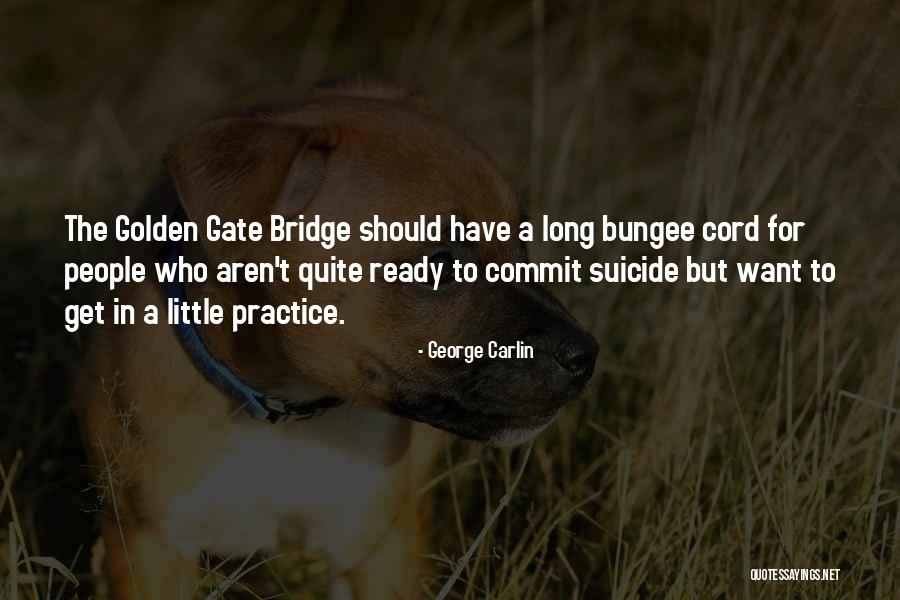 William B Hartsfield Quotes By George Carlin