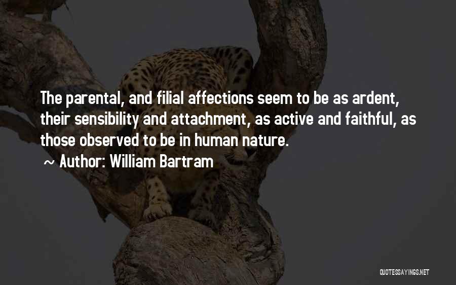 William Bartram Quotes 1197933