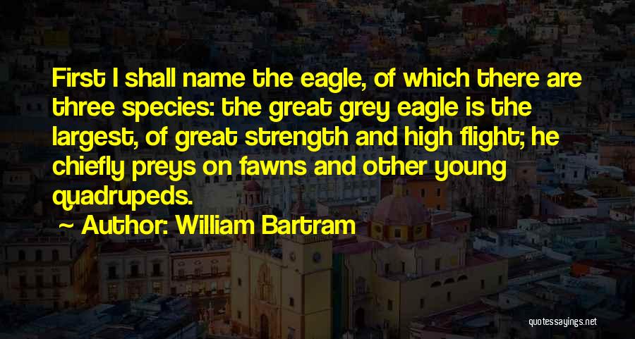 William Bartram Quotes 1662746