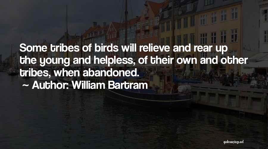 William Bartram Quotes 2119311