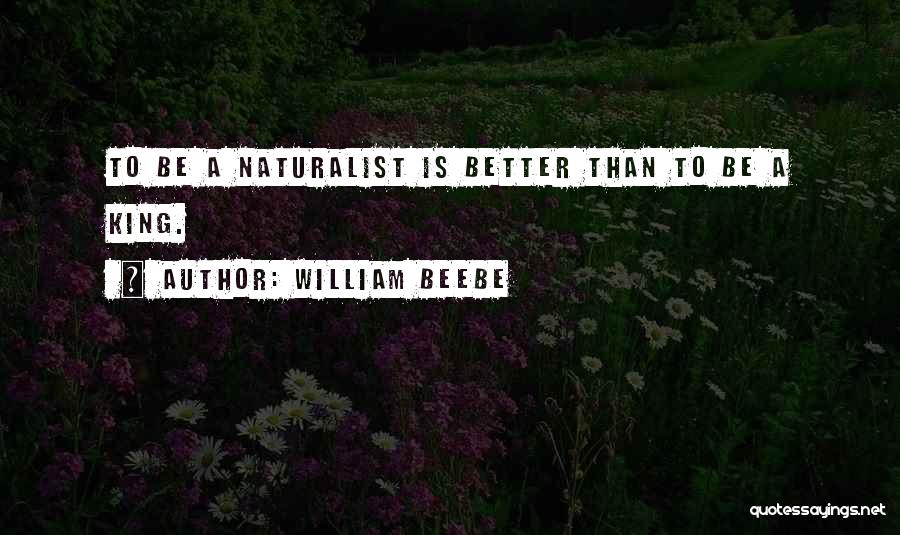 William Beebe Quotes 173342