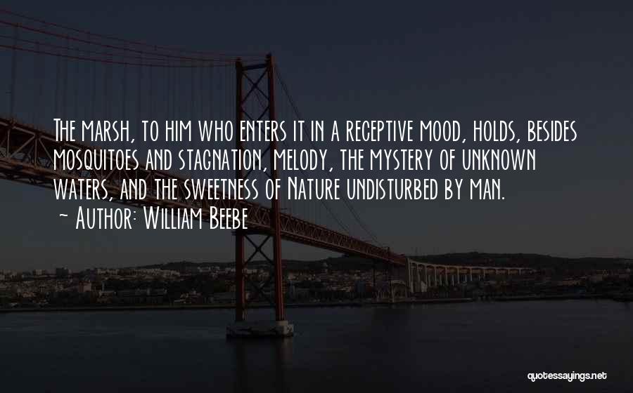 William Beebe Quotes 1822870