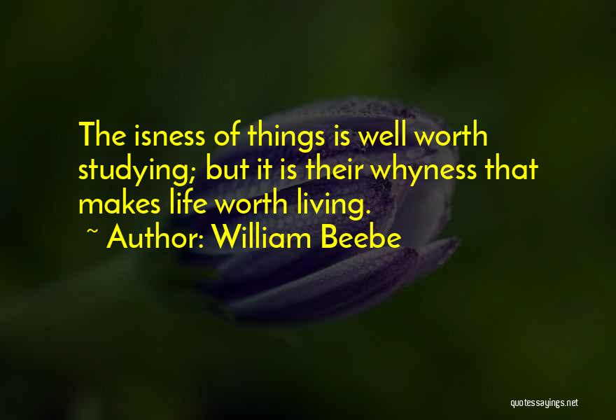 William Beebe Quotes 1852571