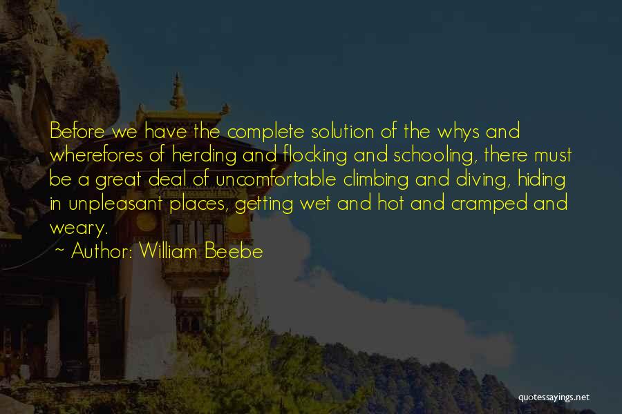 William Beebe Quotes 1896857