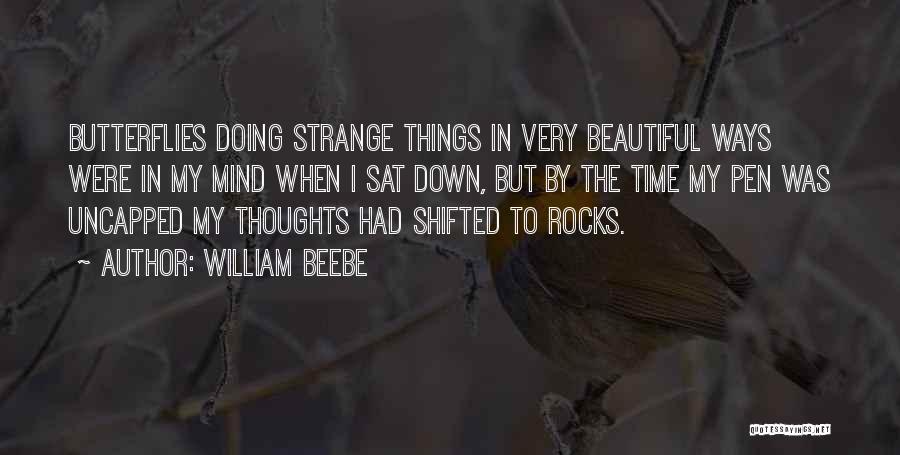 William Beebe Quotes 400538