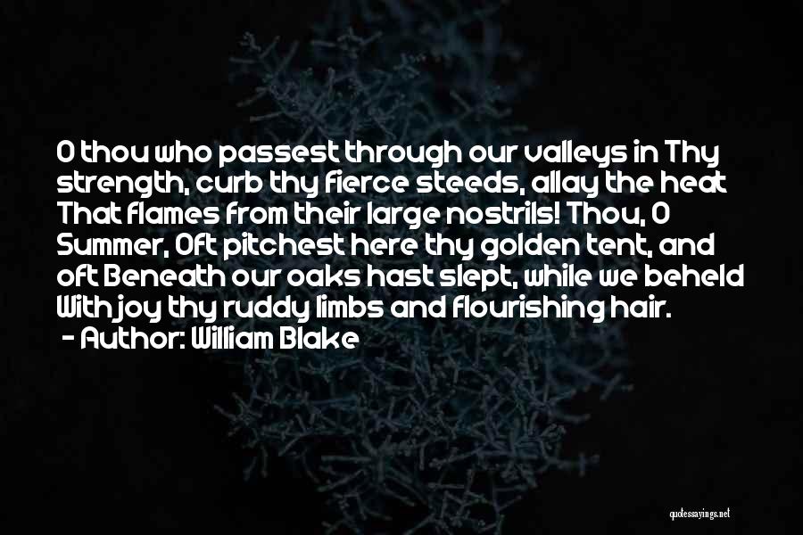 William Blake Quotes 1374777