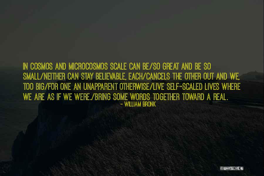 William Bronk Quotes 1948570 William Bronk Quotes 1948570