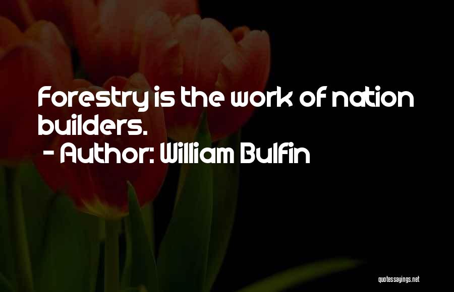 William Bulfin Quotes 2085871