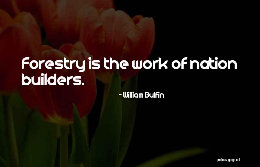 William Bulfin Quotes 2085871 William Bulfin Quotes 2085871