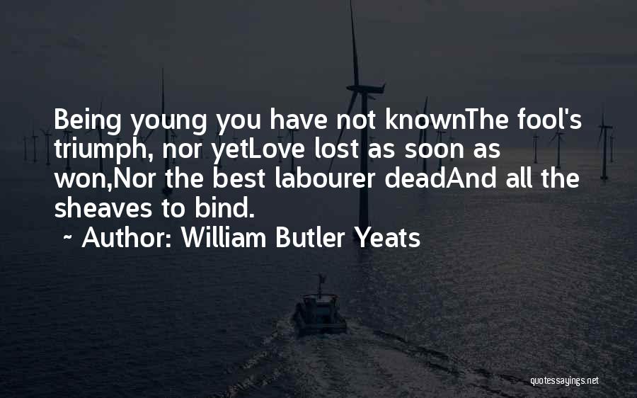 William Butler Yeats Quotes 1076400