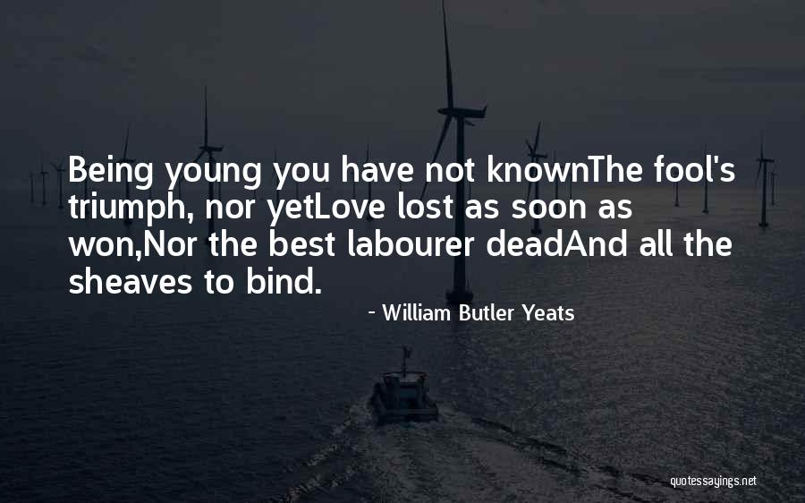 William Butler Yeats Quotes 1076400 William Butler Yeats Quotes 1076400