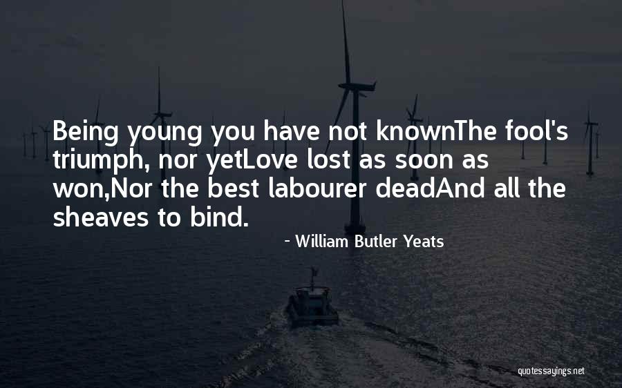 William Butler Yeats Quotes 1076400