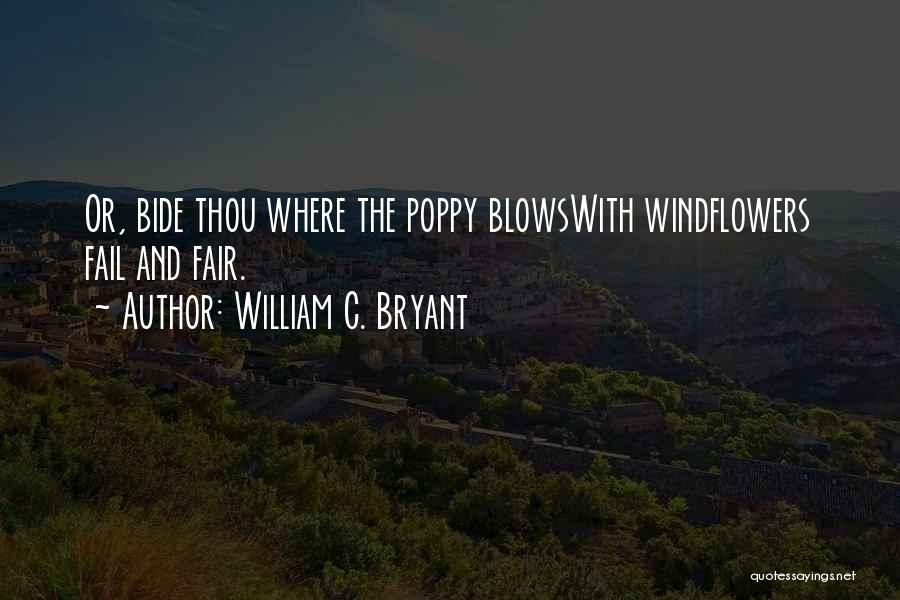 William C. Bryant Quotes 1185837